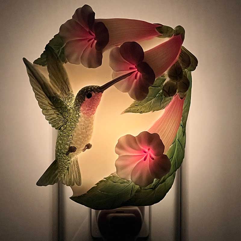 Hummingbird Night Light Plug