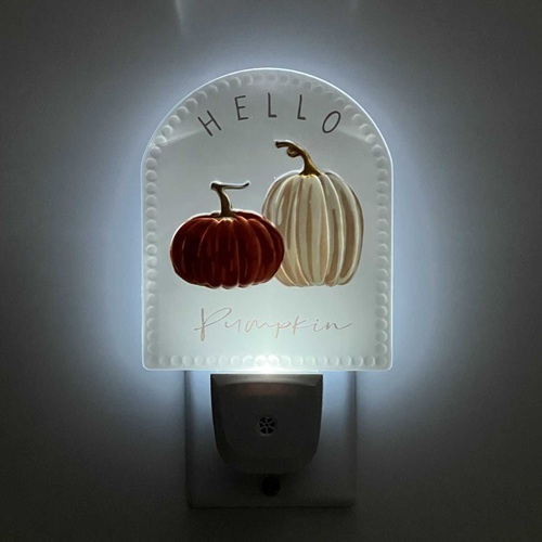 Can LED Plug In Night Light switch between warm and cool light?